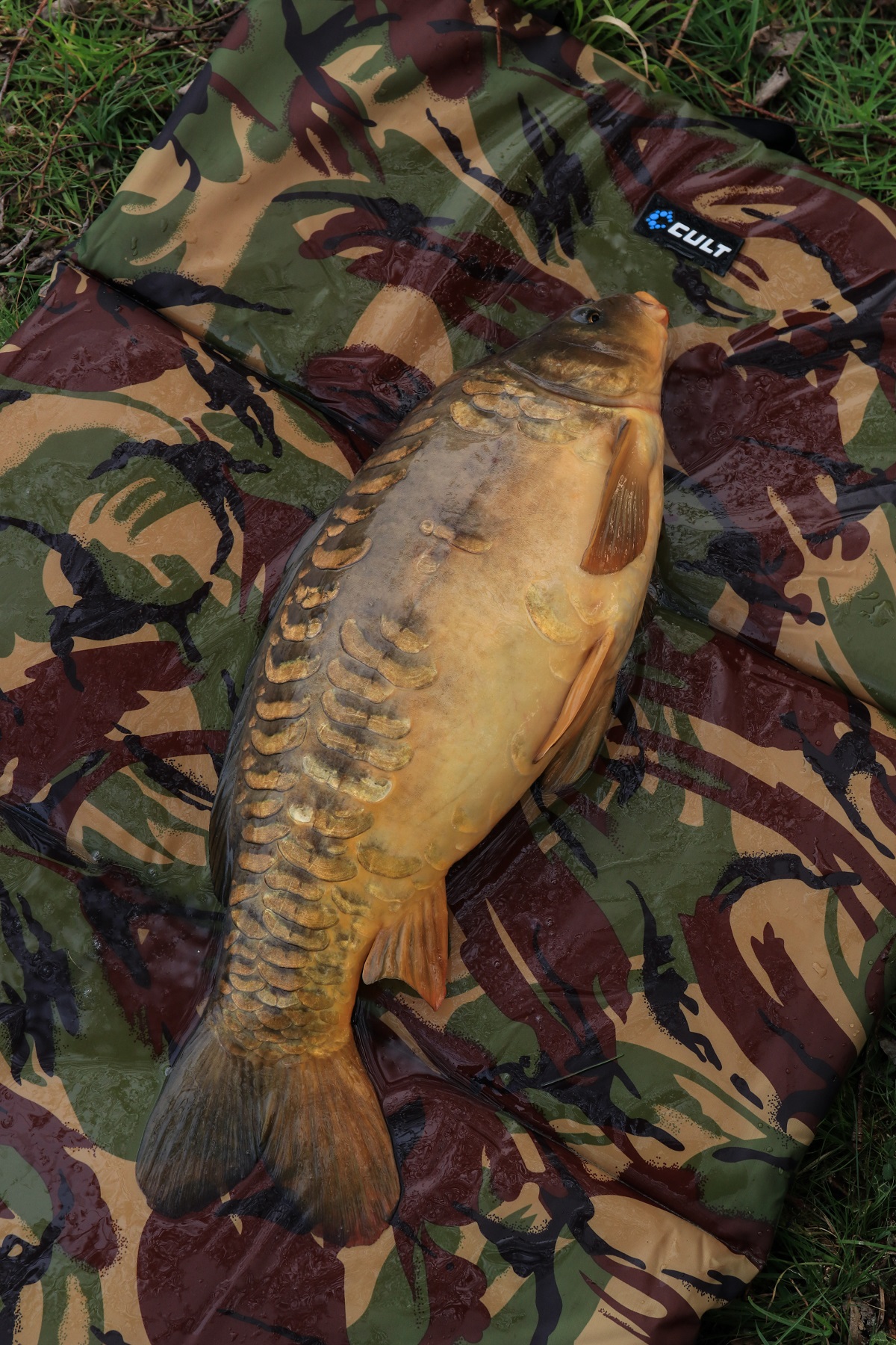 Cult Tackle 3 Fold Flat Mat Abhakmatte Cult Tackle 3 Fold Flat Mat Abhakmatte