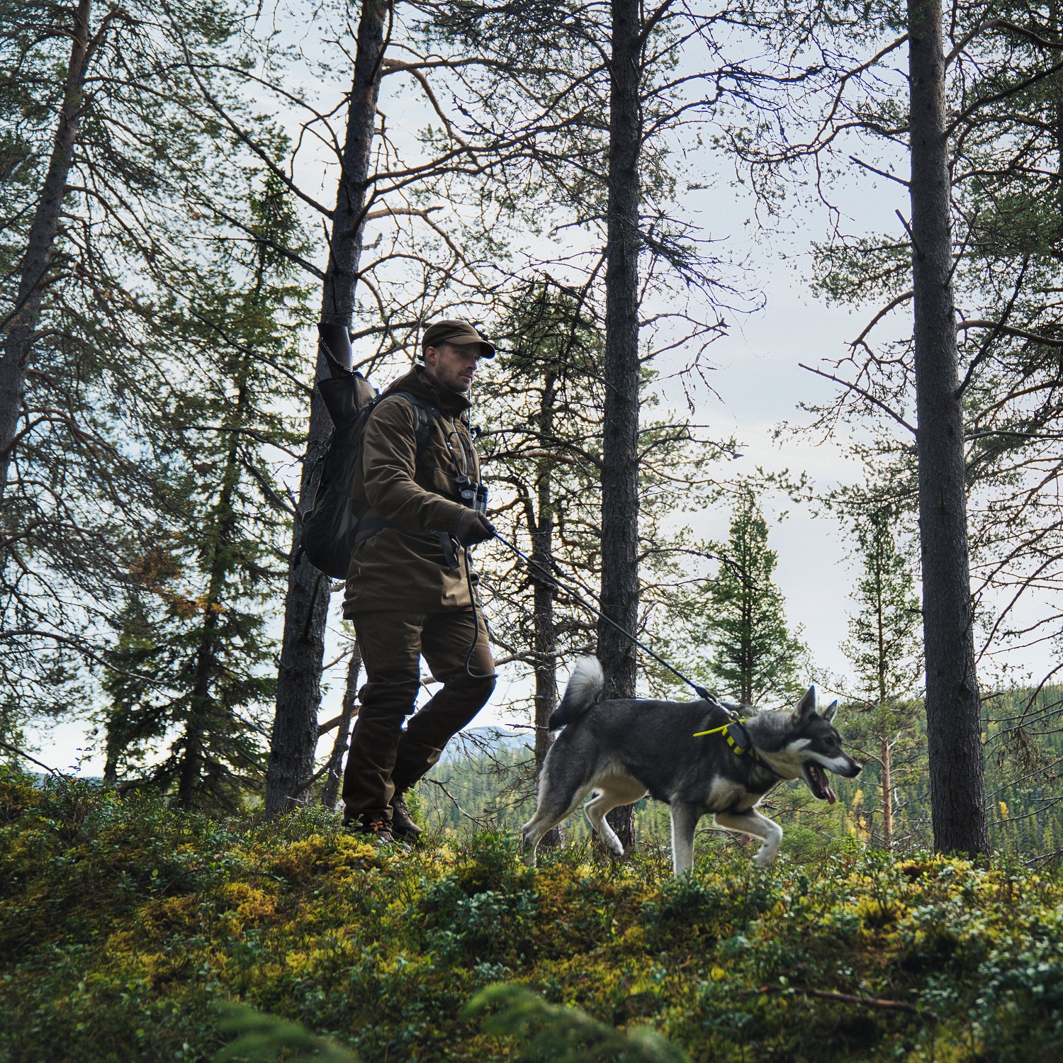 Härkila Mountain Hunter Anorak Außenansicht mit Hund
