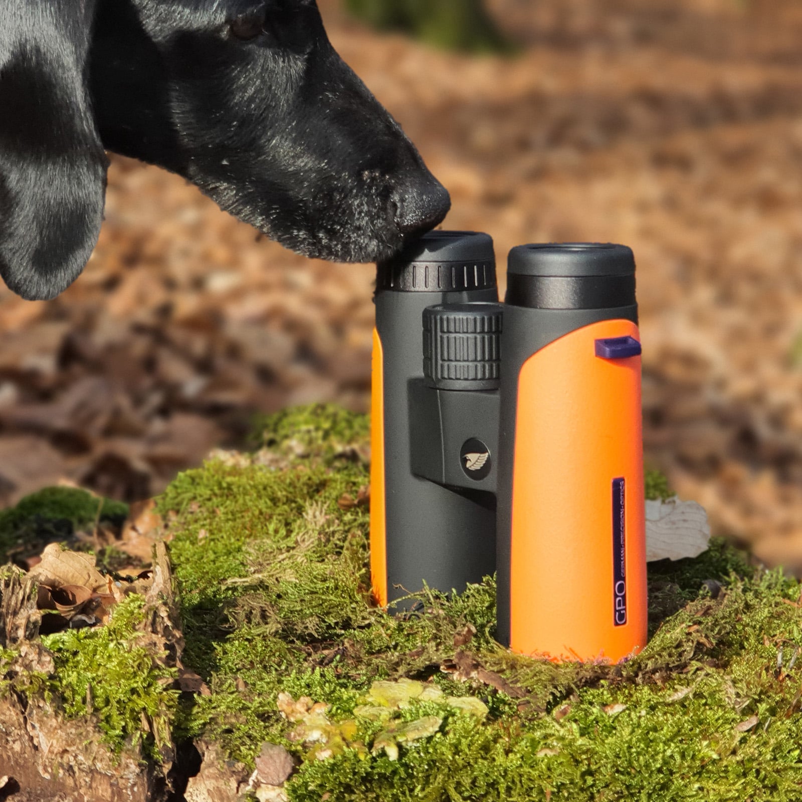German Percision Optics Passion ED 8x42