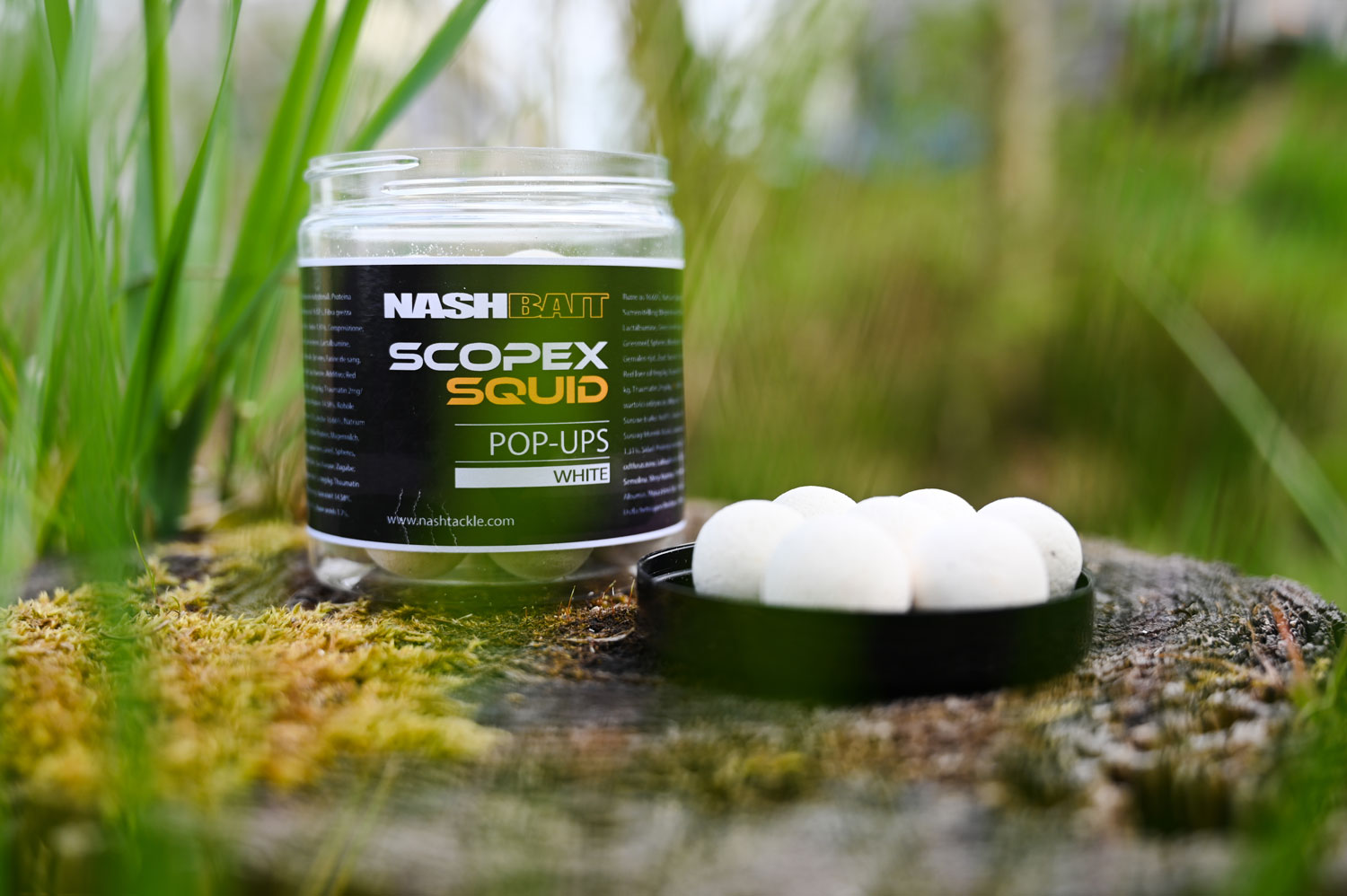 Nash Scopex Squid Pop Ups - Weiß Detailansicht