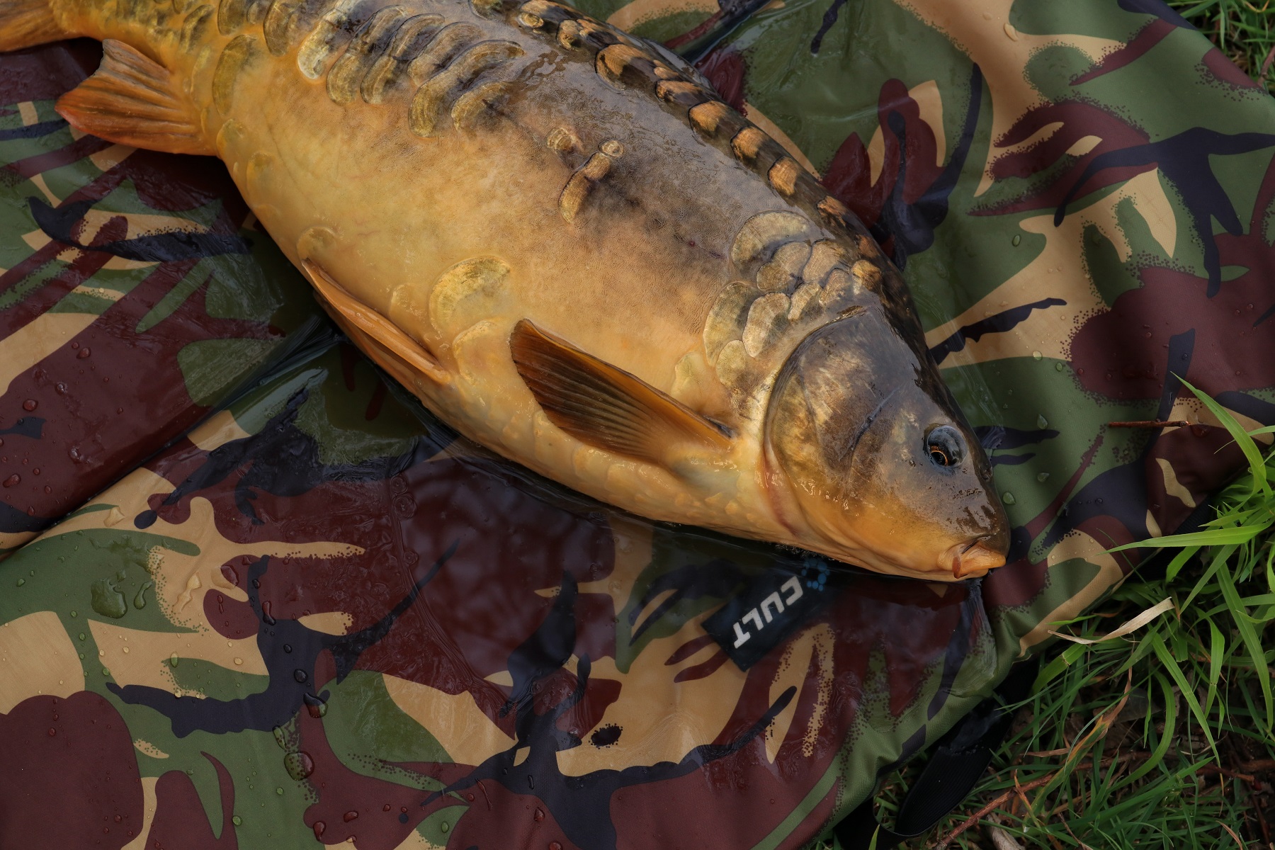 Cult Tackle 3 Fold Flat Mat Abhakmatte Cult Tackle 3 Fold Flat Mat Abhakmatte